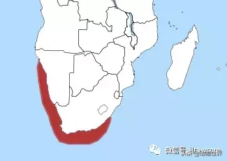 企鹅是鸟吗（带你了解世界上的18种企鹅）