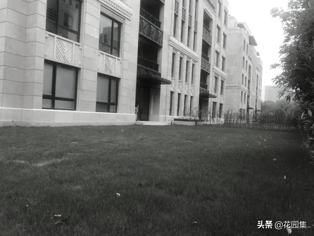 走近这个300m²花园,感受繁华都市中的小确幸