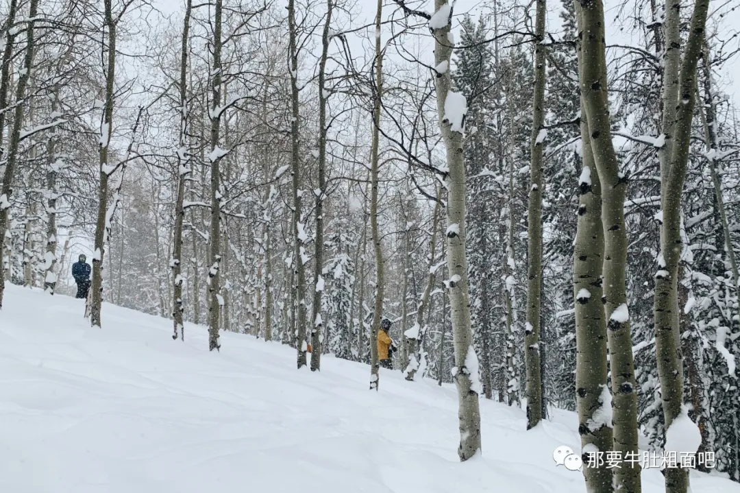 当大雪飞过那个小镇,我哪儿都不去 | 当我滑雪时我在想什么
