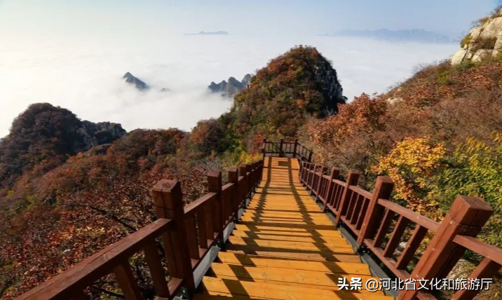 寻一处安逸，静听雨落，细赏美景