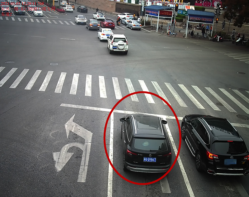 交通违法曝光！