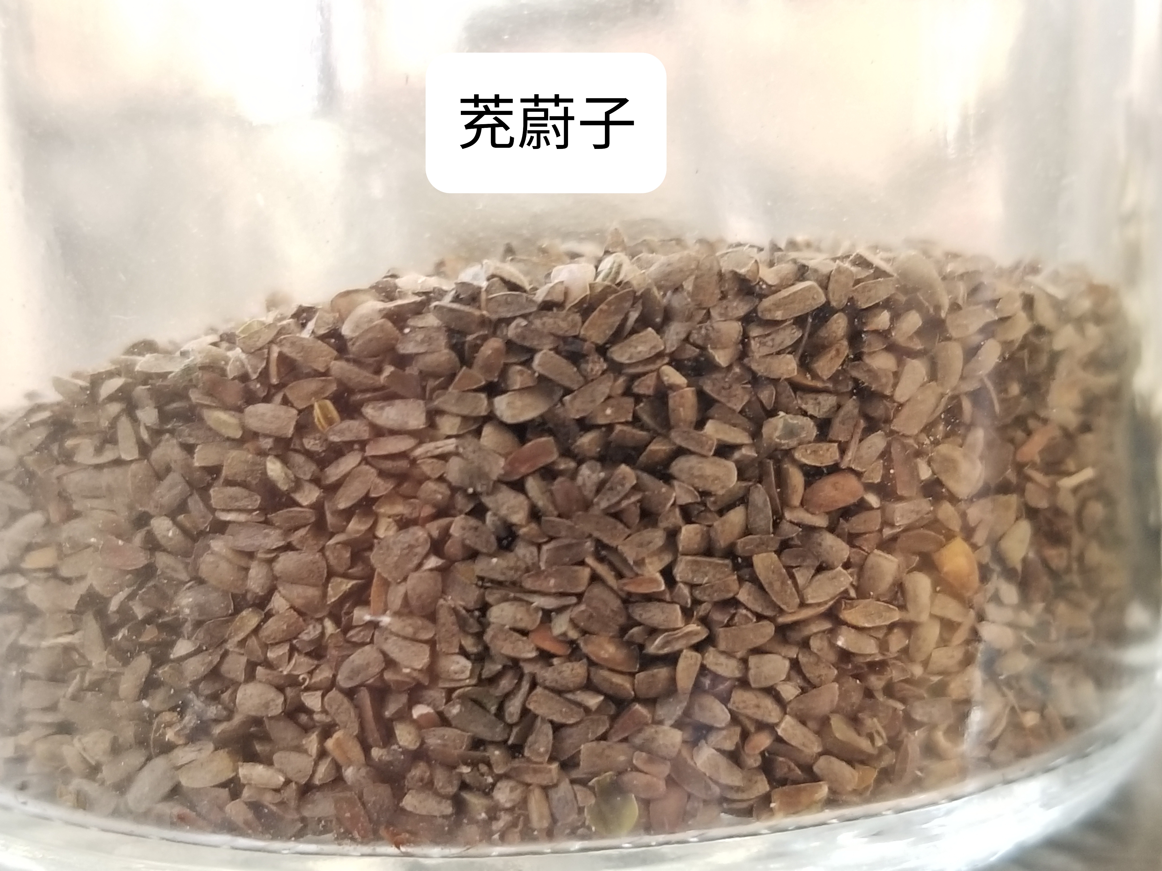 一对“母子”药（益母草与茺慰子）