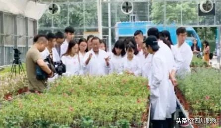 毕业即可上岗 眉山职业技术学院实现学校与企业无缝对接