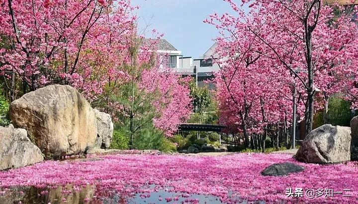 大理大学 一个美丽的山水大学