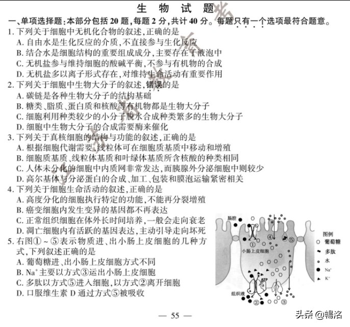 2020年江苏高考生物试题+参考答案