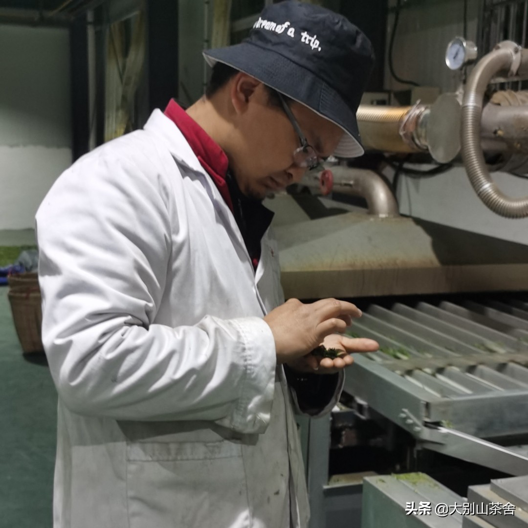 大别山采茶日记，茶季总结：茶歇犹依依，回首数峰青