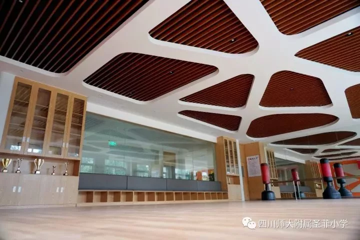 小升初可直升！新政之下，成都38所热门民办一贯制学校最全盘点