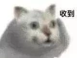 “奇怪的知识增加了！”什么梗？笑到抽搐