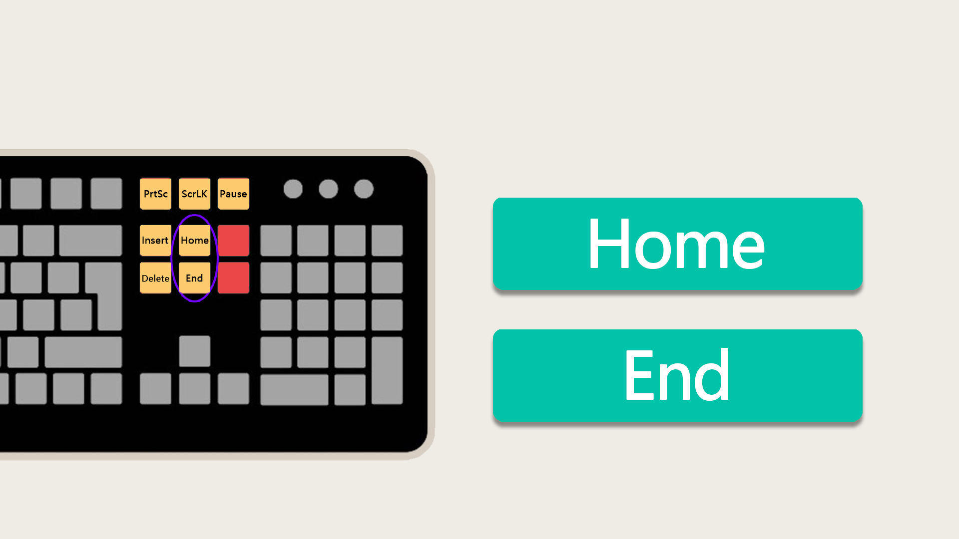 主页,结束键在字符串中按下end键可以迅速到达终点按主页键回到开头