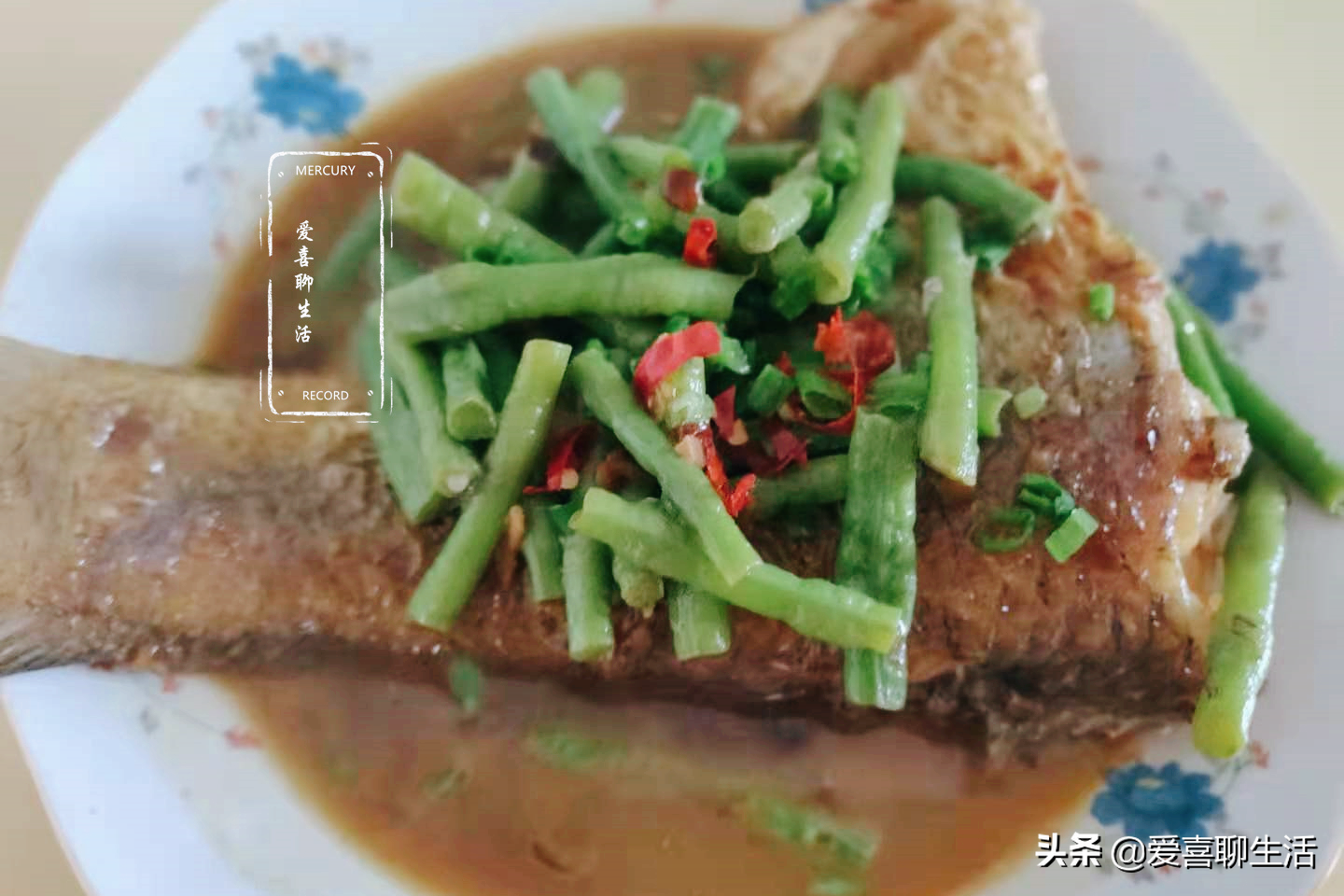 鱼尾和它是绝配(鱼尾巴合在一起)