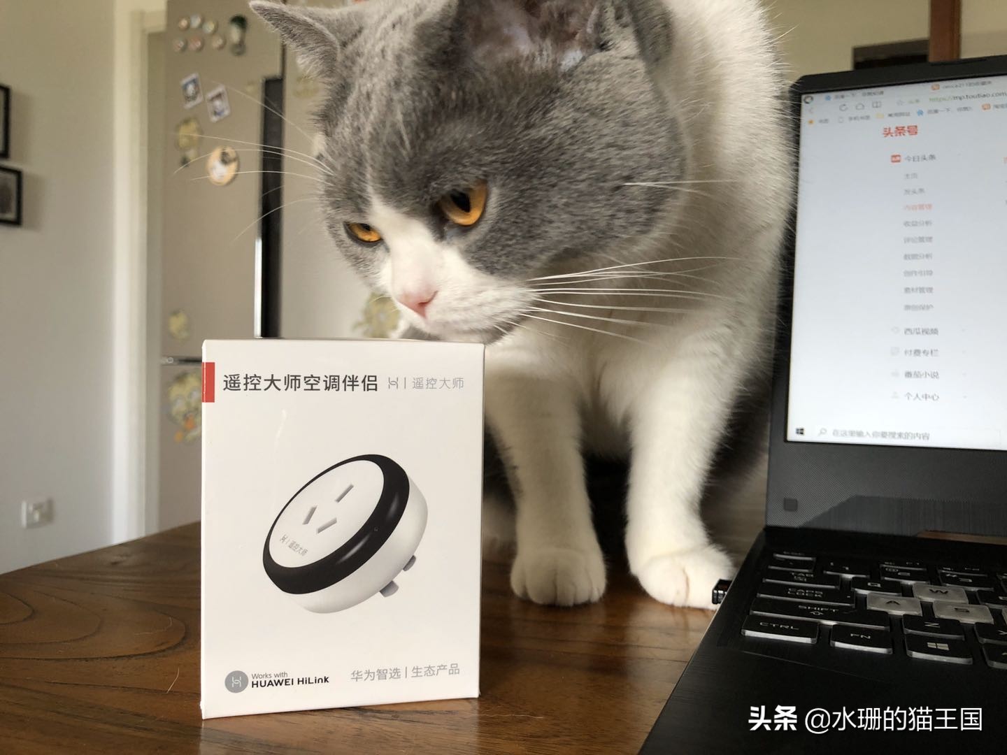 华为智选空调伴侣，让养宠生活更加智能，旧空调也可以远程遥控哦