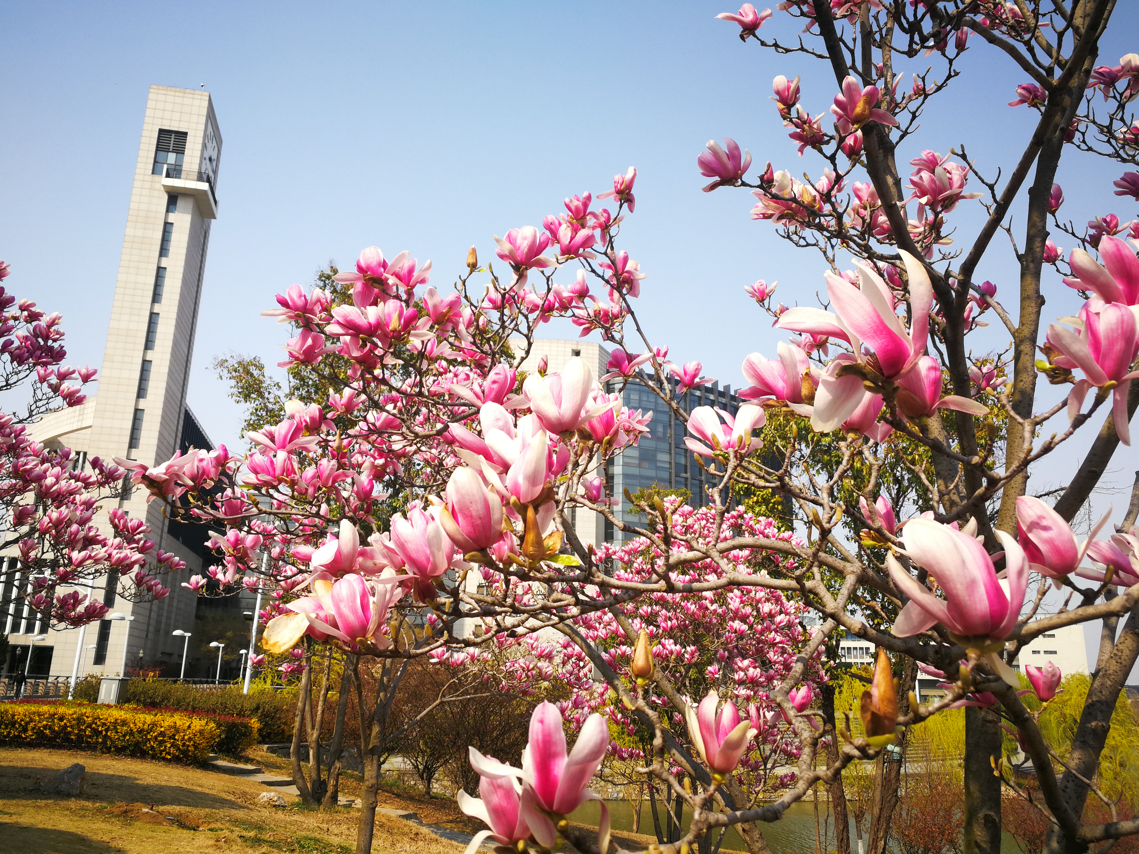 中国矿业大学是在北京还是在徐州？美术艺考生千万别傻傻分不清楚