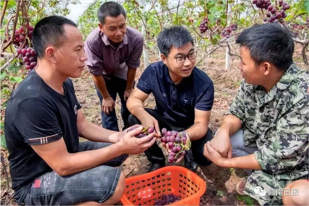 赣州荣耀！刚刚，他们在人民大会堂接受表彰！
