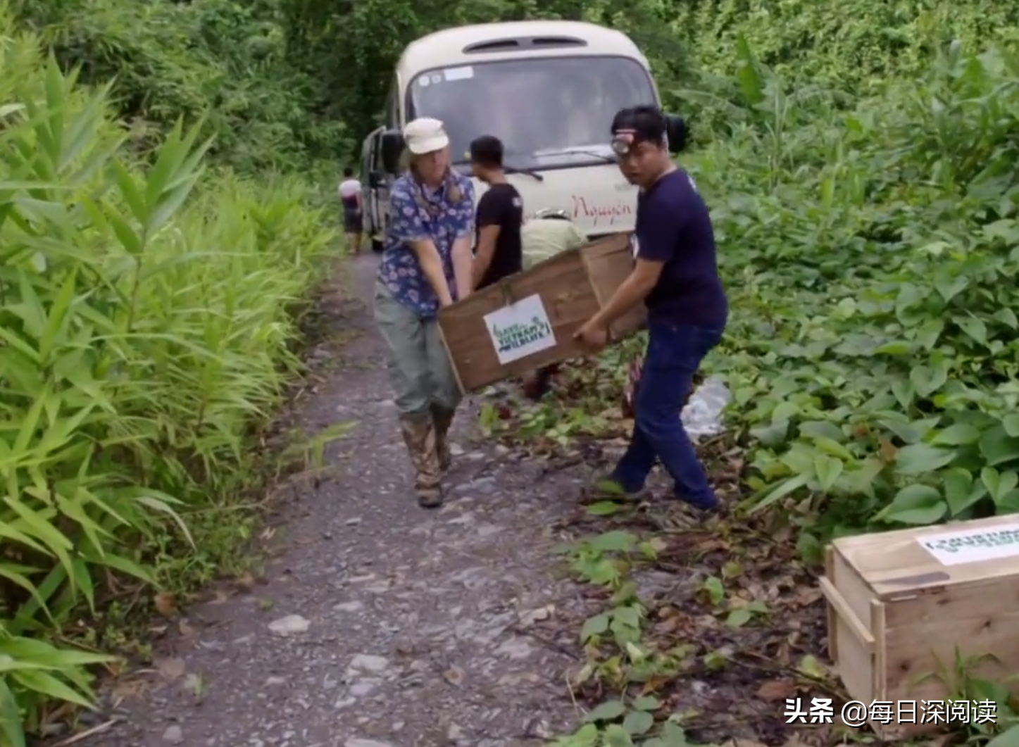 穿山甲：被捕杀最多的动物，我们该如何拯救其濒临灭绝的不幸？