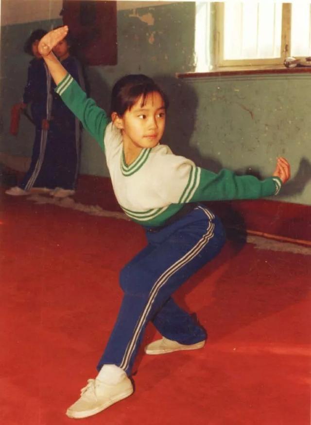 王智：7岁习武少林拳，和佟丽娅同班，中戏毕业后却跑去当了村官