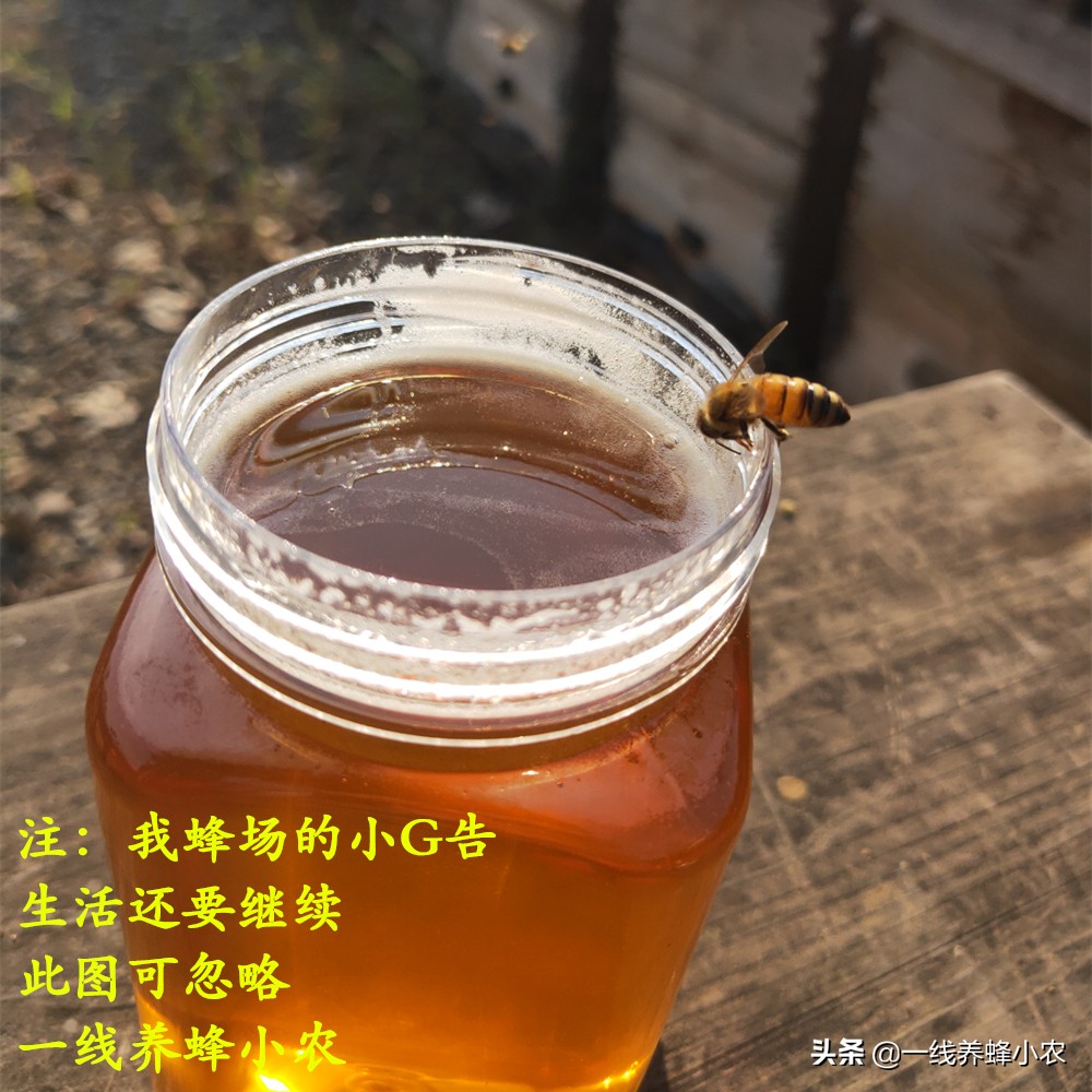 五羖大夫 黑兽 酆都御史