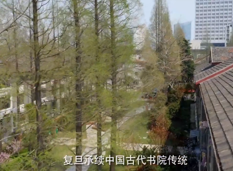 清华北大复旦招生宣传片曝光：孩子努力读书，才能看到广阔的世界