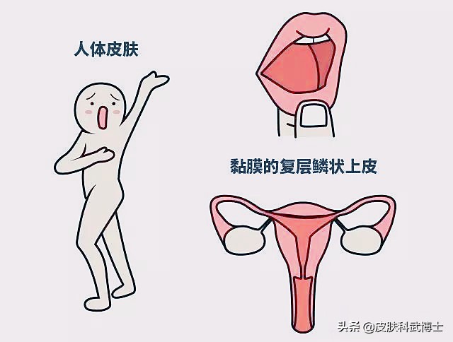 没男朋友，为何会得HPV？HPV传播途径可不止性！发病率逐渐年轻化
