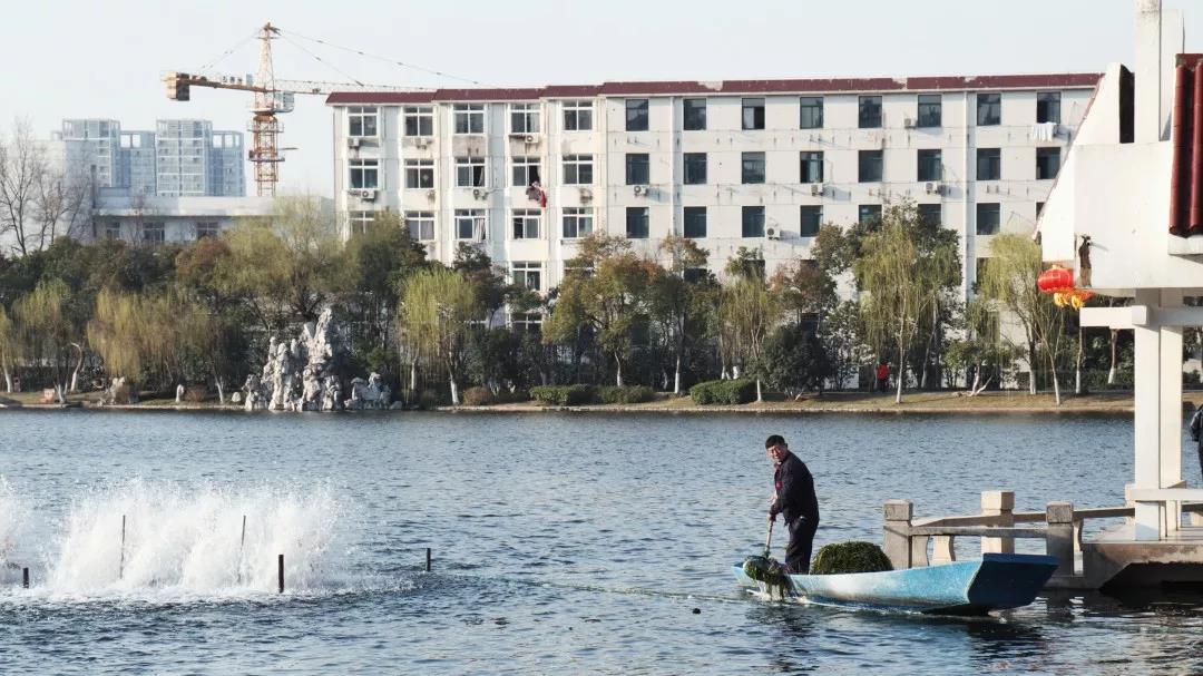 打破国外技术垄断，成果登上新华社，安徽这所