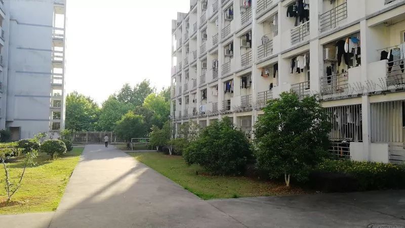 爱上江苏这所百年名校，只要这10句话就够了！