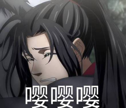 魔道祖师表情包：确认过眼神，这是我媳妇