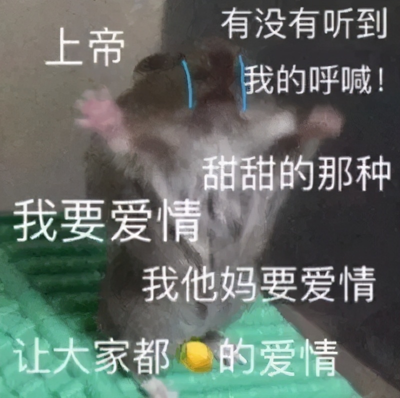 520沙雕表情包合集：愤怒的单身狗