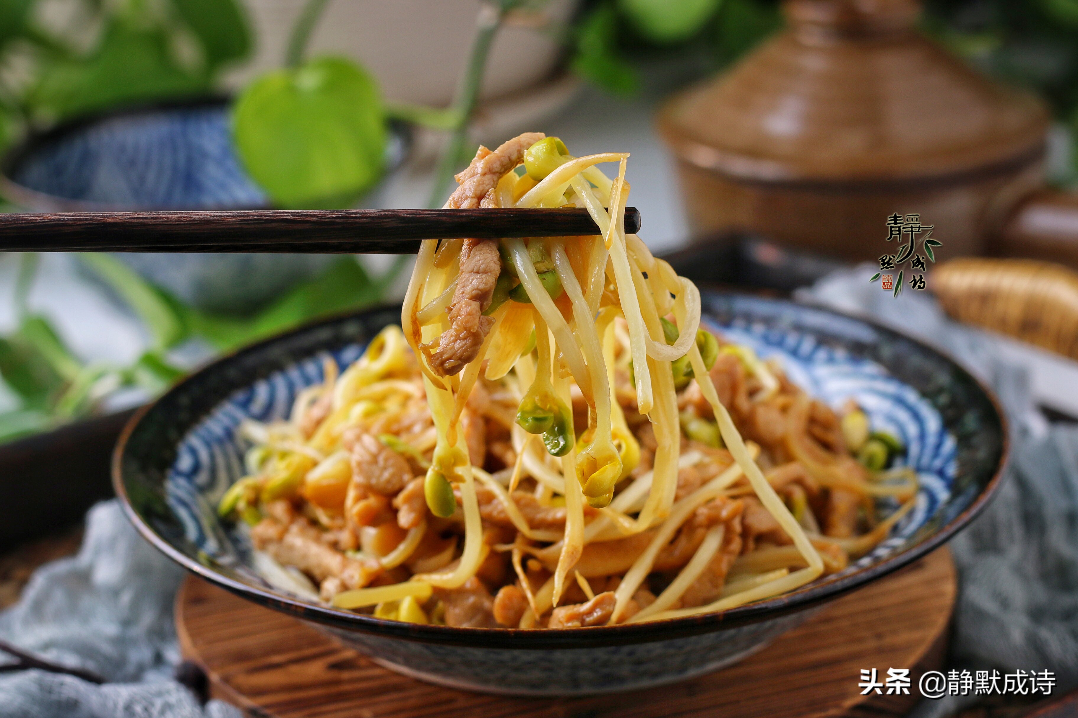 黄豆芽炒肉（一文详解分享黄豆芽炒肉的做法）