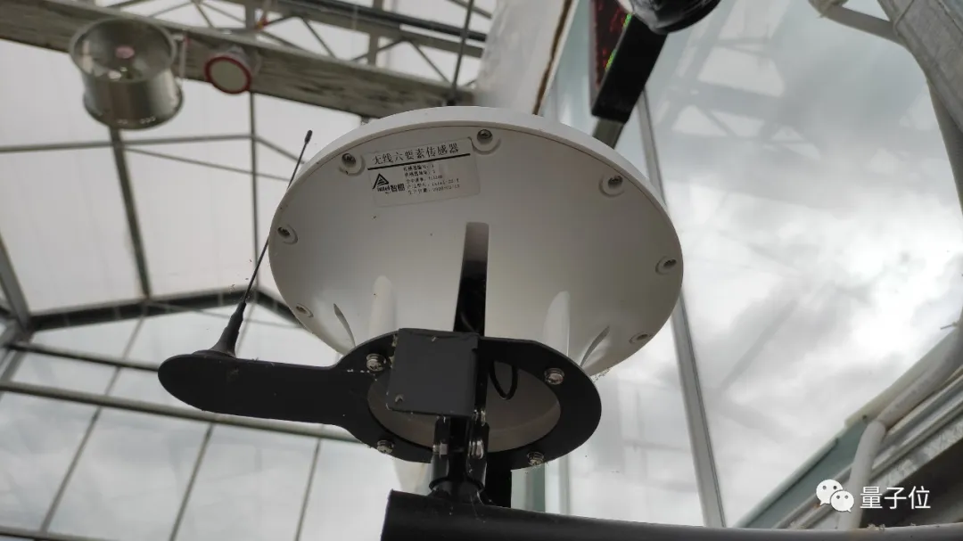 没想到,拼多多竟然想用AI种草莓给我吃