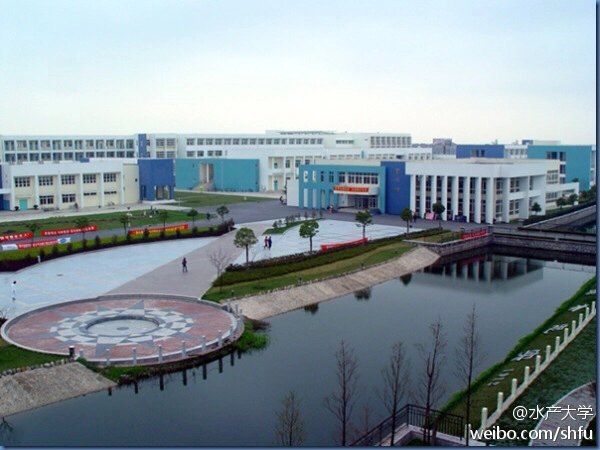 为什么很多人会觉得南汇（惠南）大学城衰落的很严重