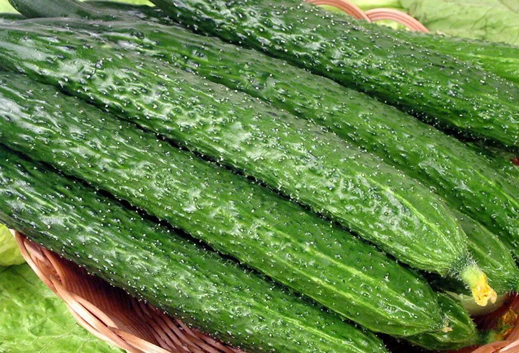 教你用黄瓜做4道凉菜(教你用黄瓜做4道凉菜方法)