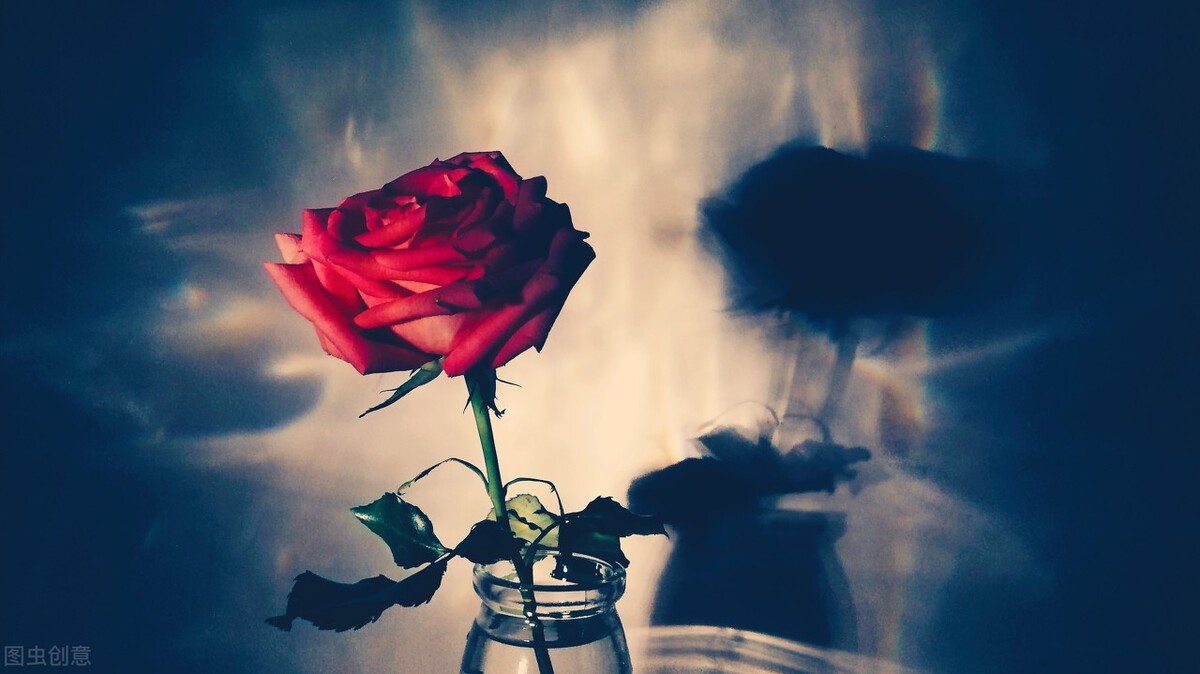 15岁考入北大的天才诗人，25岁却卧轨自杀，海子父亲：不该学文科