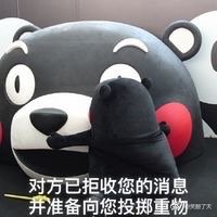 熊本熊表情包：对方已拒收您的消息，并对您投去嫌弃的目光