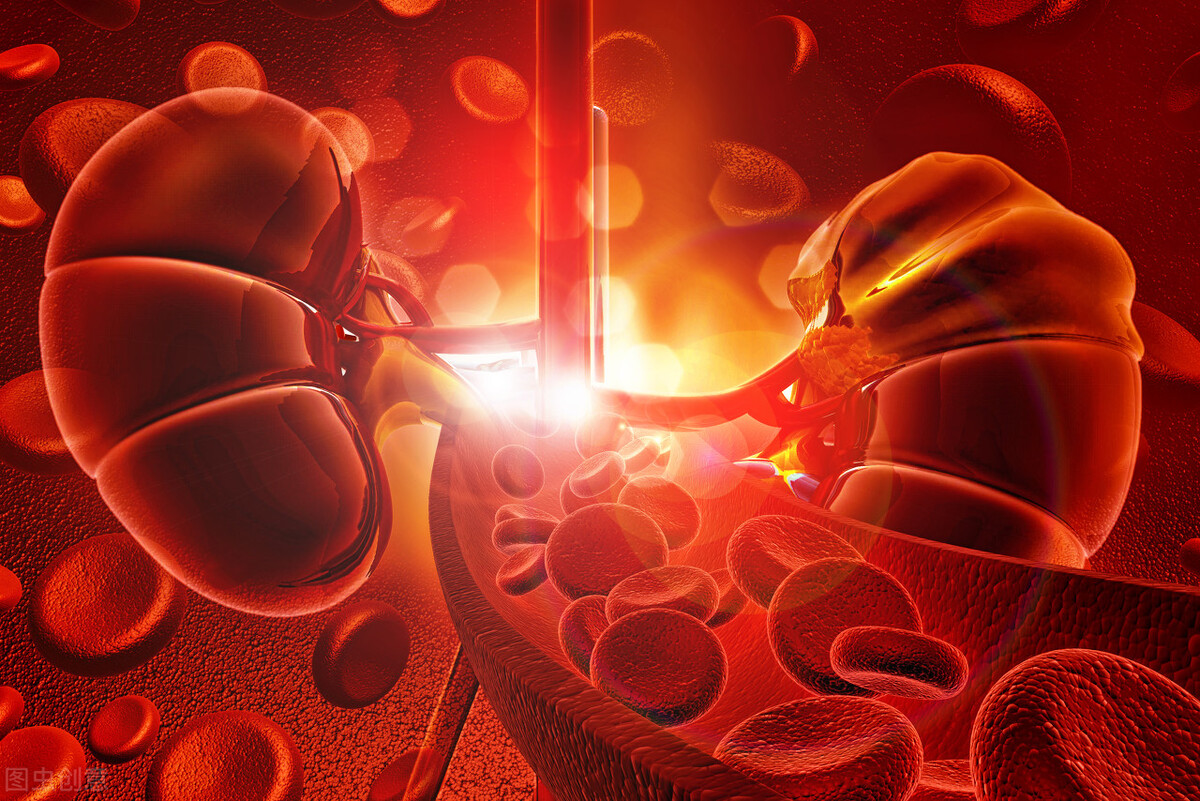 肾囊肿患者进行保养有什么意义？不要怕，只要注意这6点