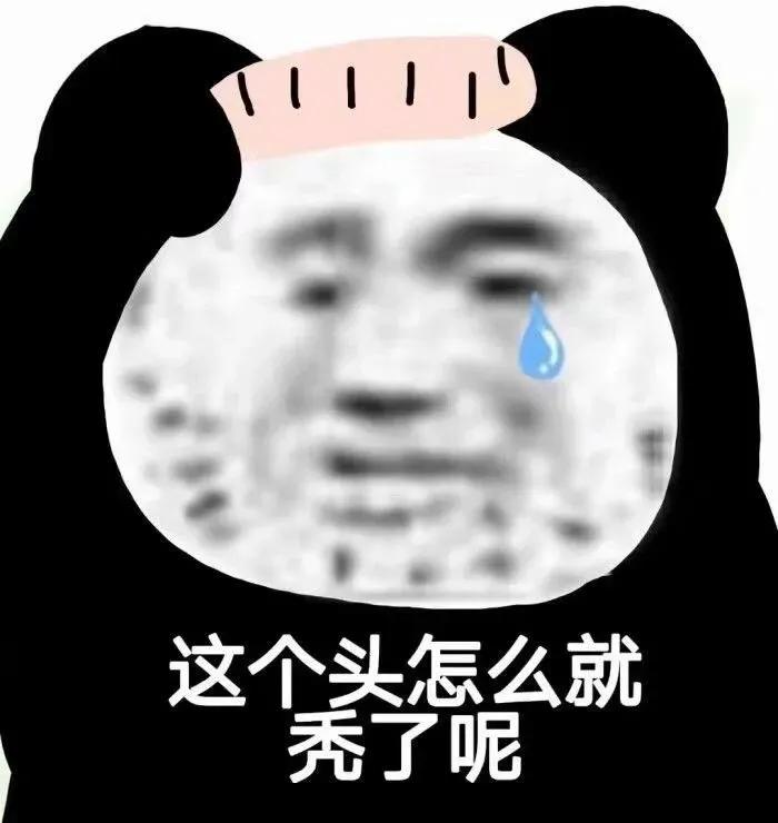 挖个坑埋了表情图片