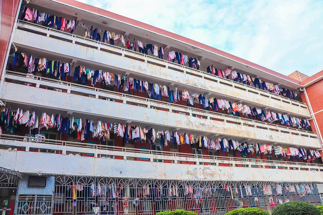 愿你出走半生，归来仍是少年