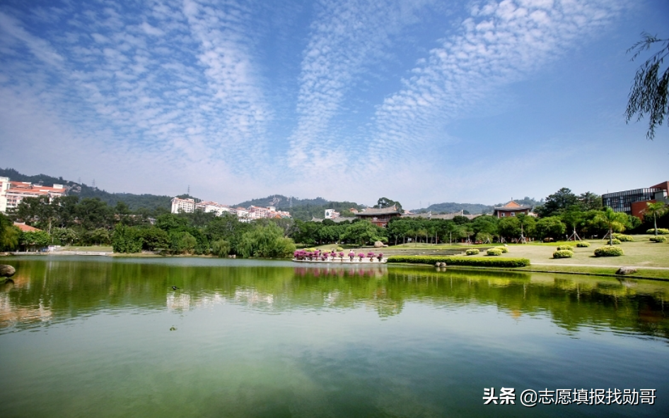 学财经专业，厦大和对外经贸，你选哪一个？