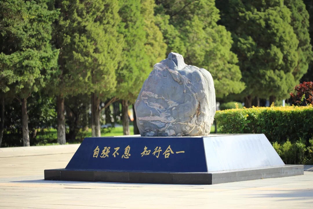 优秀！东北大学