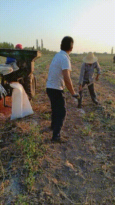 500w买的豪宅，被老婆装修成网红毛坯风，回到家就感觉还在工地上