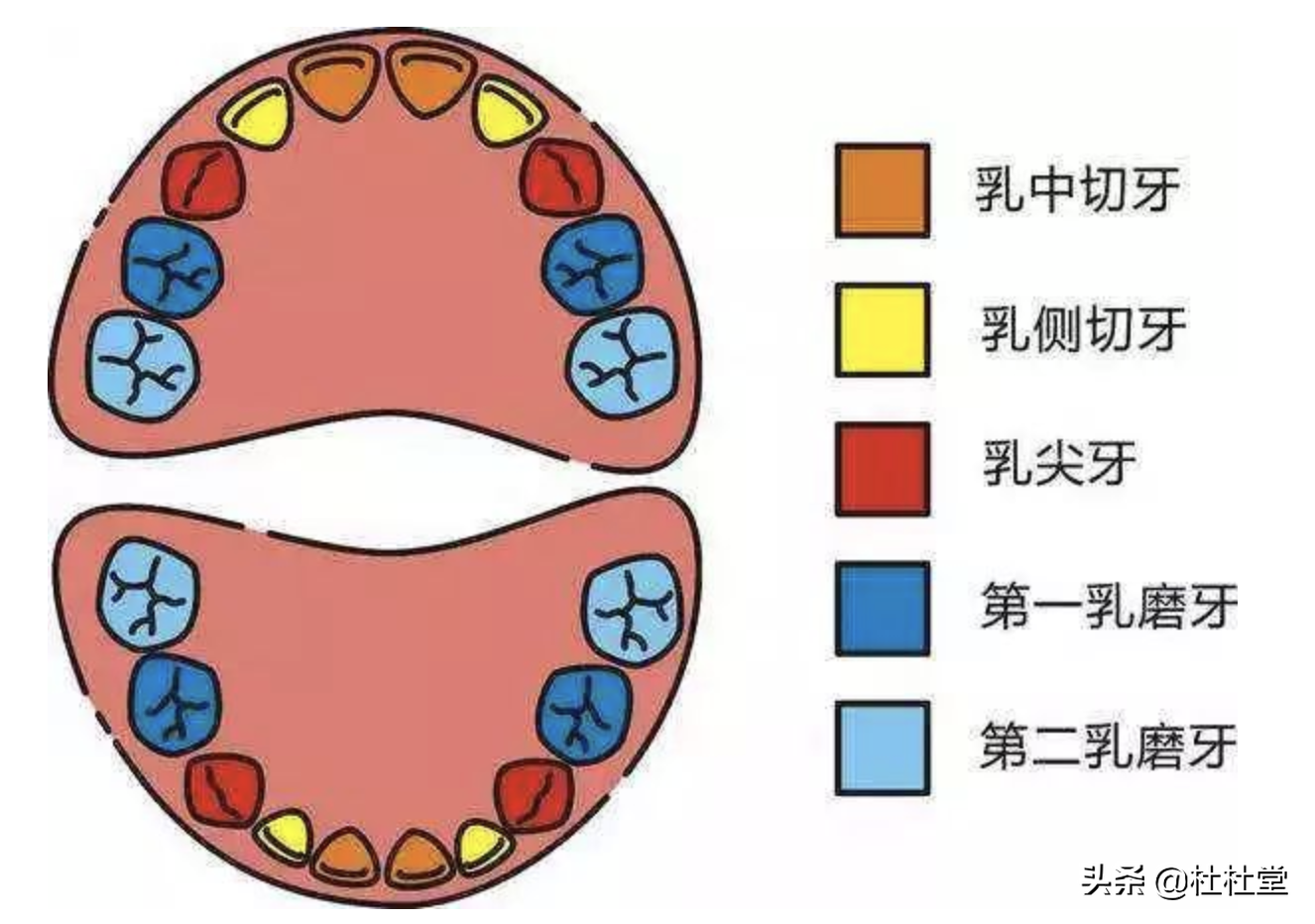 為什麼我依然給孩子的牙齒做窩溝封閉了!