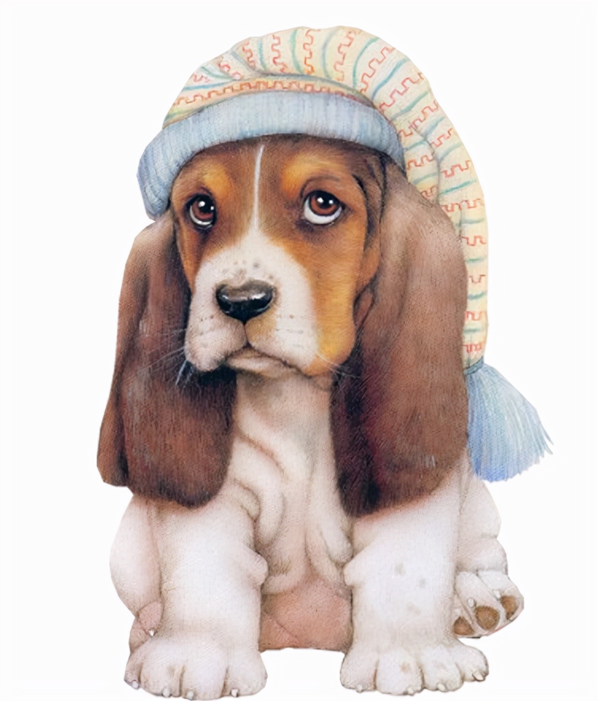 世界犬种智商排名榜前 30 名的聪明狗狗
