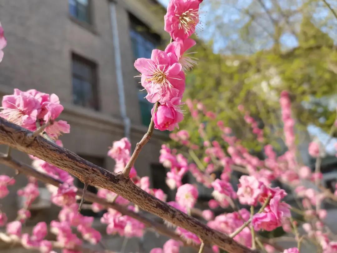 属于你我的，山师四季