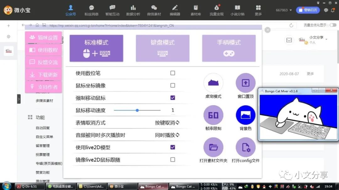 安利一款PC端小猫咪桌面插件