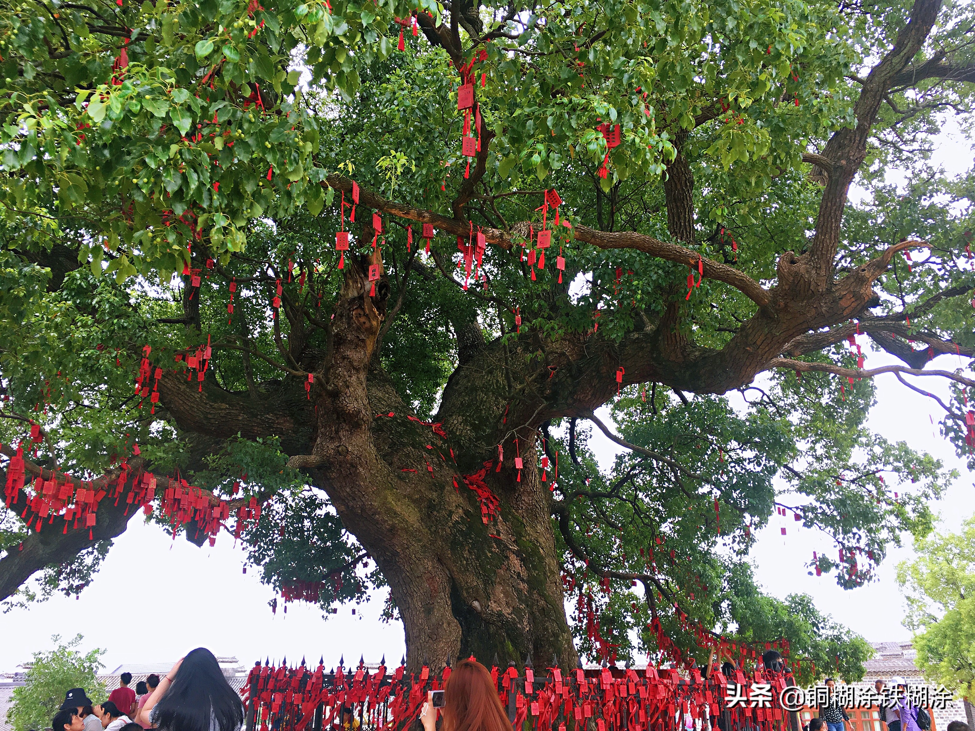 痛心的安义古村