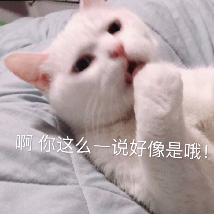 表情包：可不可以牵一下小猪猪的手？