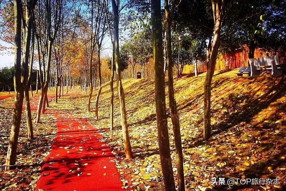 真正的湖湘秘境，被上苍厚待的湘中小城，一边田园牧歌让你放松，一边惊险刺激让你放飞