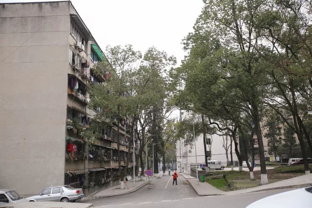 再见，宜宾职业技术学院