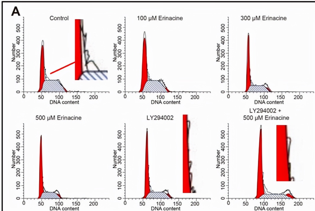 华北理工大学附属医院发表的SCI因图片疑似与他人文章重复遭质疑