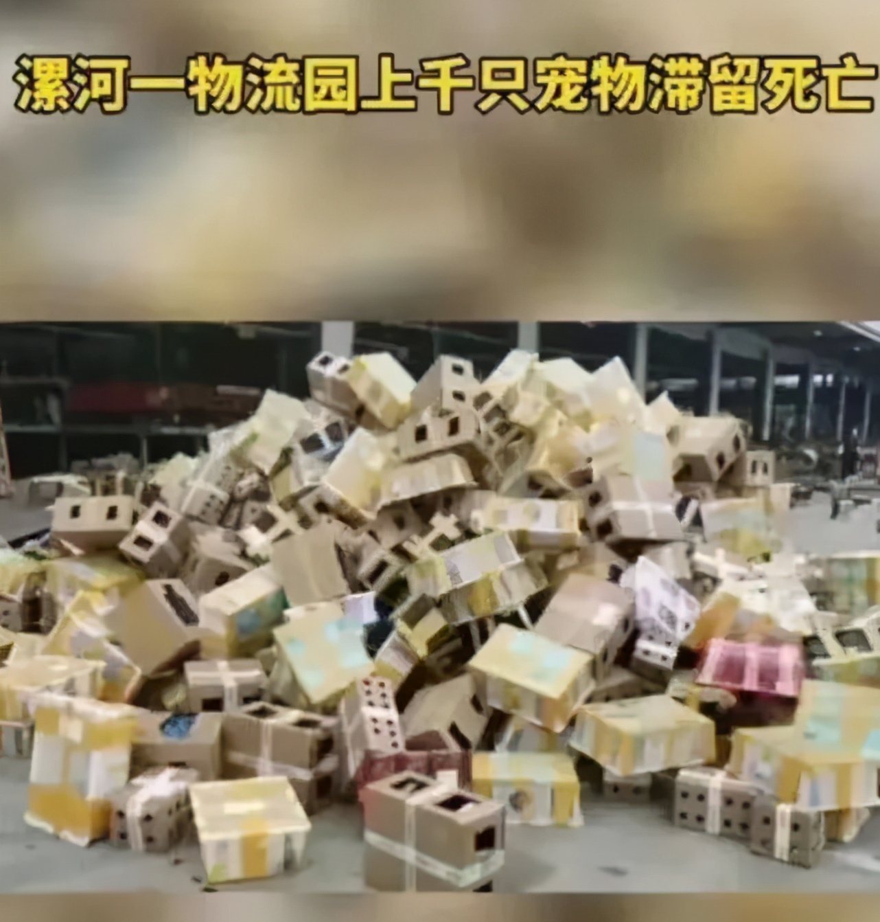 激怒4.6亿人，央视下场痛批！最“反人性”的生意，还在疯狂敛财