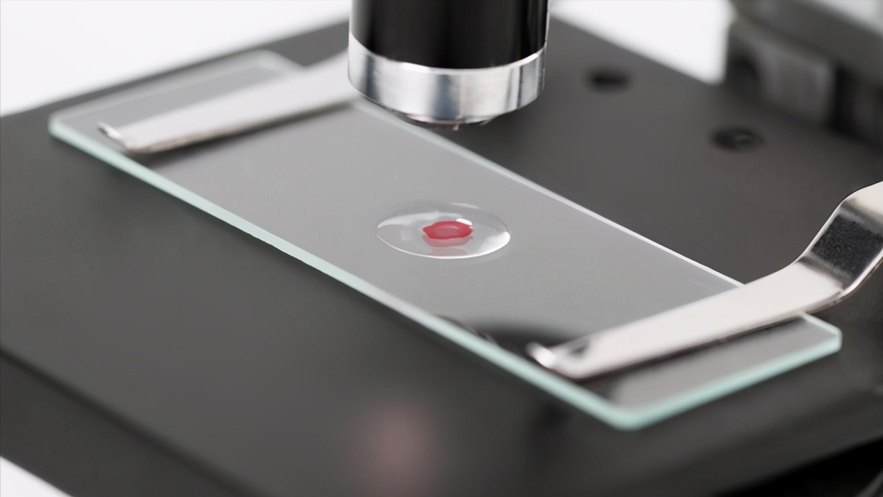 生物学实力强的100所大学：清北交第一，河南大学进48强