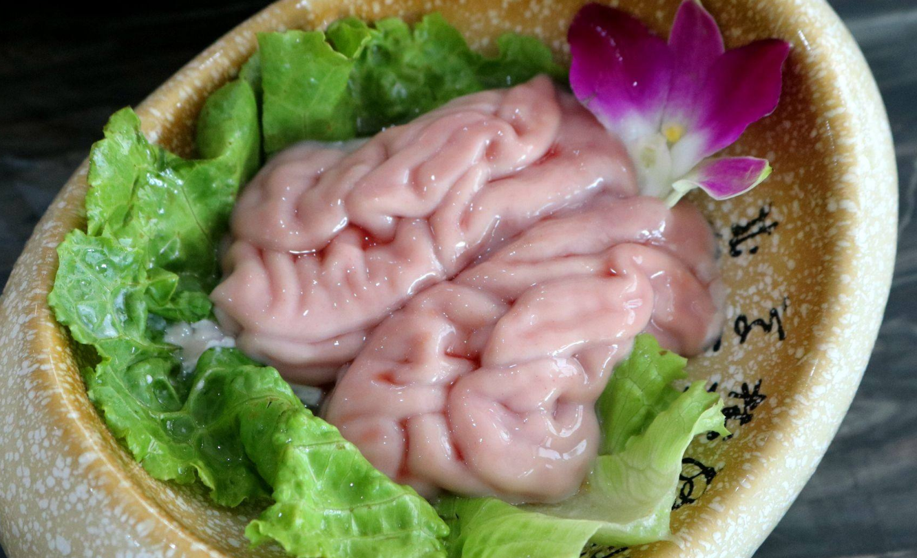 爱吃猪脑的一定要收藏(爱吃猪脑的一定要收藏才能买吗)